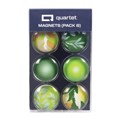 QUARTET MAGNETS LEAF PACK 6