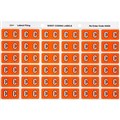 AVERY 43303 LATERAL FILE LABEL SIDE TAB COLOUR CODE C 25 X 38MM ORANGE PACK 180