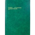 COLLINS 61 SERIES ANALYSIS BOOK 16 MONEY COLUMN 84 LEAF A4 GREEN