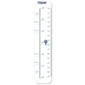 DEBDEN DAYPLANNER PR2008 PERSONAL EDITION REFILL TODAY RULERS SIZE PACK 2