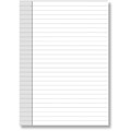 DEBDEN DAYPLANNER PR2011 PERSONAL EDITION REFILL NOTEPADS SIZE PACK 2