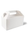 EX LGE CARRY PACK D3473 EA CTN200