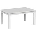 OLG AXIS COFFEE TABLE 900 X 600MM WHITE FRAME WHITE TOP