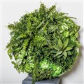 PLANT IMAGE VERTICAL WALL GARDEN ROUND SMALL