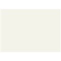 GBC IBICO BINDING COVER GLOSS 250GSM A4 WHITE PACK 100