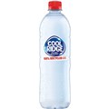 COOL RIDGE STILL WATER PET 600ML CARTON 24