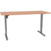 Height Adjustable Desks